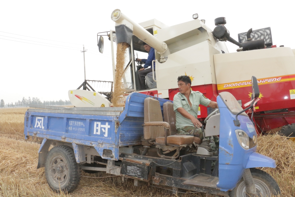 永利集团·yl(中国游)官方网站